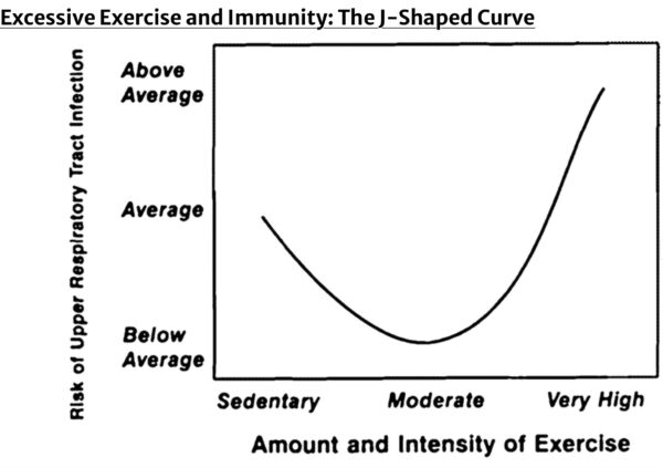 Exercise and immunity graph
